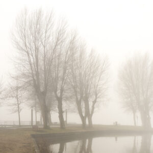 Le pêcheur – Landes