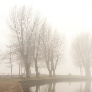 Le pêcheur – Landes