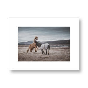 Energie sauvage – Islande