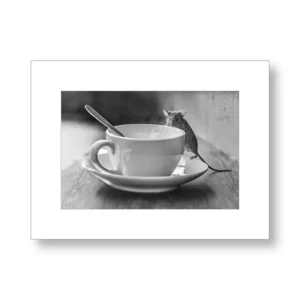 Tea Time