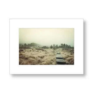 Tourbières Mont d’Arrée