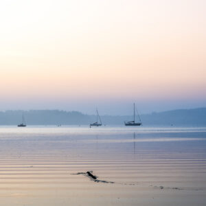 Le silence du matin – Ille & Vilaine