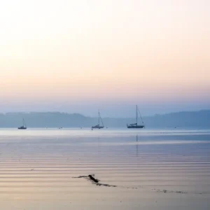 Le silence du matin – Ille & Vilaine