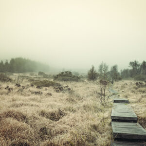 Tourbières Mont d’Arrée