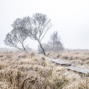 Mont-d’Arrée – Finistère