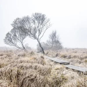 Mont-d’Arrée – Finistère