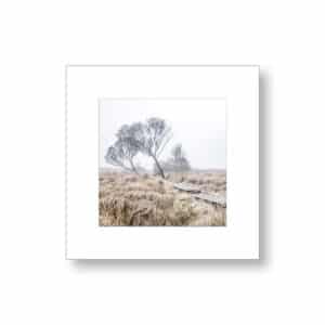 Mont-d’Arrée – Finistère