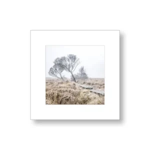 Mont-d’Arrée – Finistère