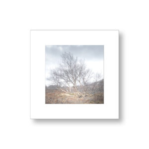 Solitaire nordique – Islande