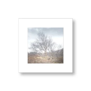 Solitaire nordique – Islande